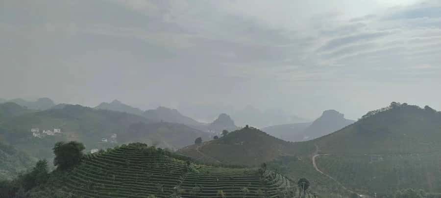 Qixianfeng Tea Plantation Tour in Yangshuo - Key takeaways before you go