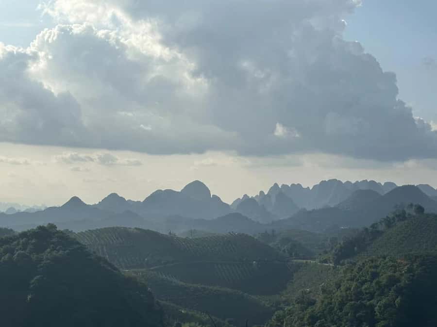 Qixianfeng Tea Plantation Tour in Yangshuo - Who This Tour Suits Best in Yangshuo