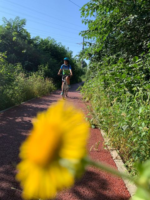 Riverside Cycling With A Native - Key Highlights to Know Before You Go