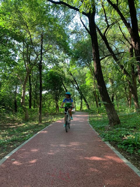 Riverside Cycling With A Native - Electric Car Transfers: Easy, Efficient Day Structure