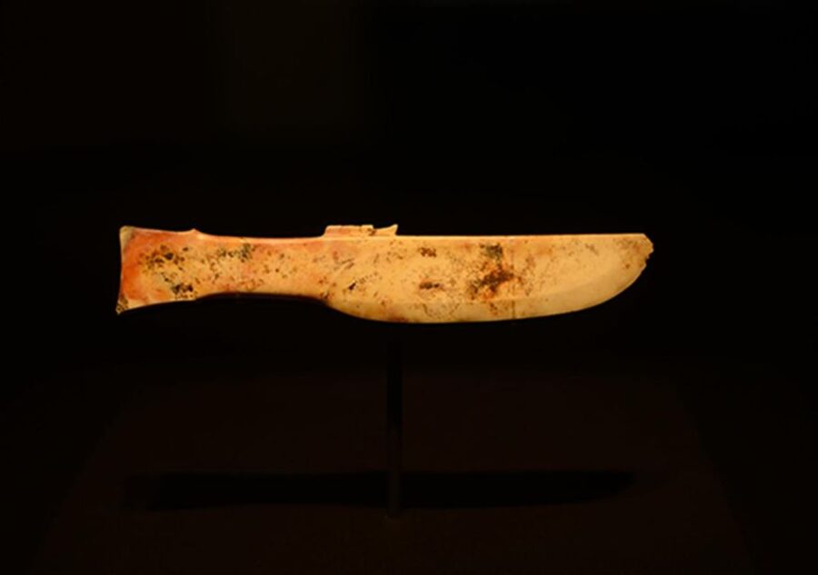 Sanxingdui Museum Small Group Tour with Optional Panda Base - Price and Value: Is $119 a Smart Deal?