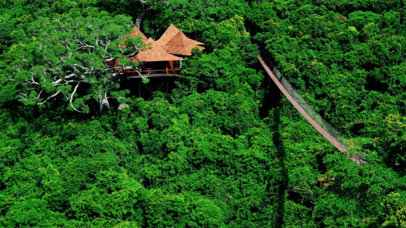 Sanya: Yalong Bay Tropical Forest Ticket and Tour Car - Getting there in Sanya: why timing matters more than you think
