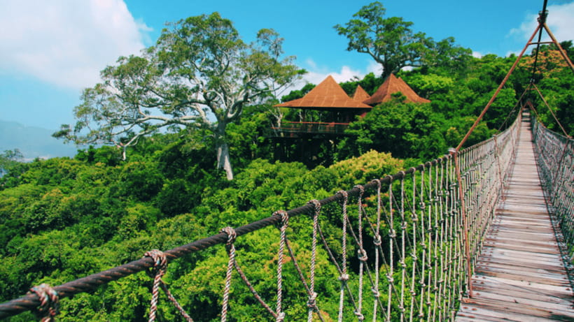 Sanya: Yalong Bay Tropical Forest Ticket and Tour Car - What $38 buys you, and how it can be good value