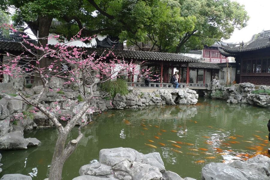 Shanghai: 3-Hour Old Shanghai City Tour - Elder Card Games and Quiet Wisdom in Small Details