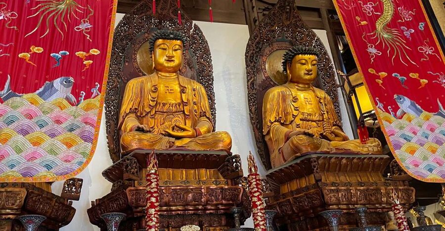 Shanghai: 8-Hour Guided Tour of Old and New City Highlights - Key highlights you’ll actually feel