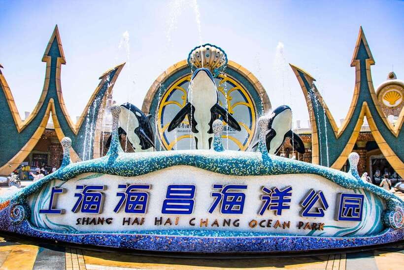Shanghai: Haichang Ocean Park Adult Ticket - Where to start: meeting point and first contact at the gate