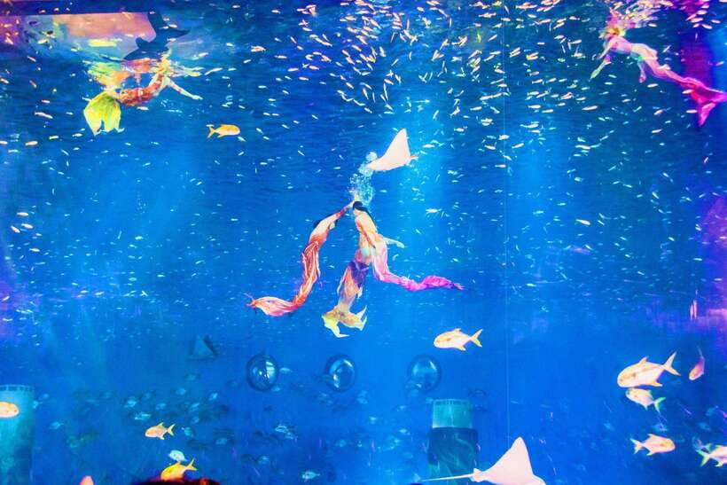 Shanghai: Haichang Ocean Park Adult Ticket - Ultraman pavilion: dining, games, shopping, and performance in one stop