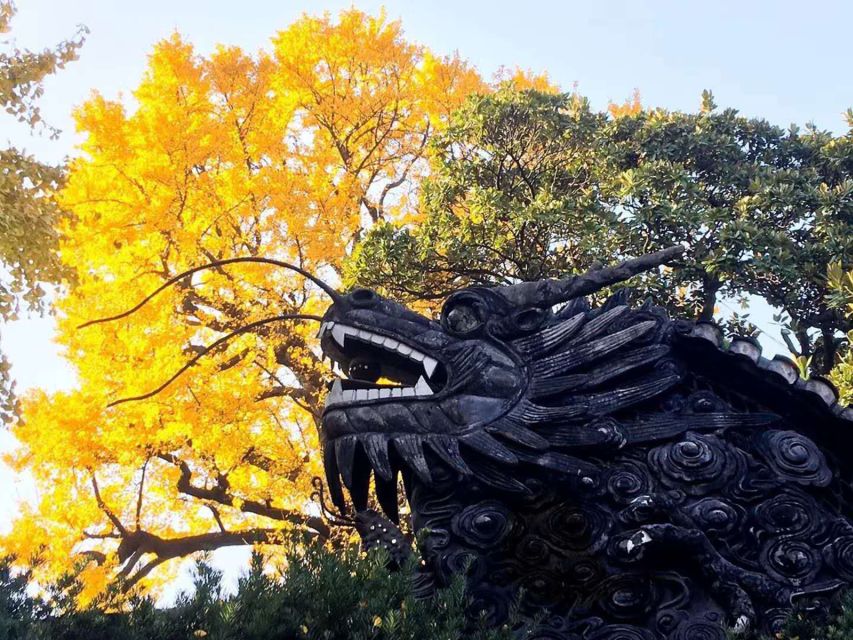 Shanghai Highlights and Zhujiajiao Water Town Private Tour - The Former French Concession: A Neighborhood That Changed the City’s Mood
