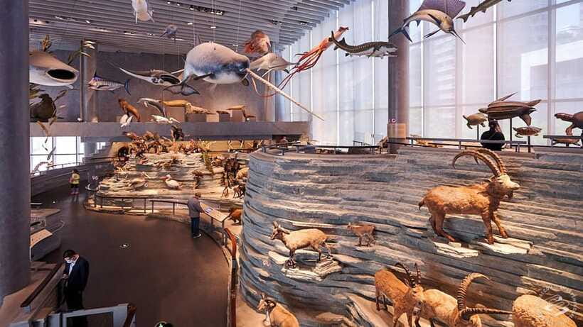 Shanghai: Natural History Museum Admission entry ticket - Why Shanghai’s Natural History Museum is a smart family science stop