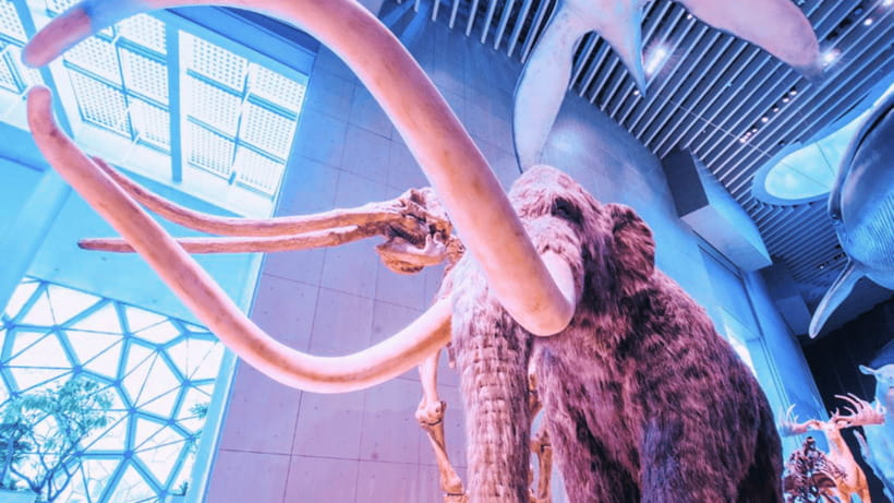 Shanghai: Natural History Museum Admission entry ticket - Biodiversity, evolution, and ecology: how the exhibits connect the dots
