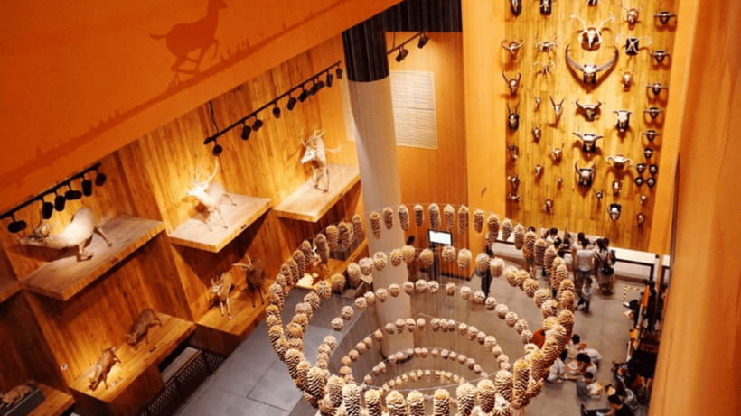Shanghai: Natural History Museum Admission entry ticket - Interactive science experiences: the part kids will remember