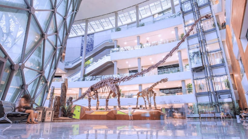 Shanghai: Natural History Museum Admission entry ticket - What’s included with your ticket, and what isn’t