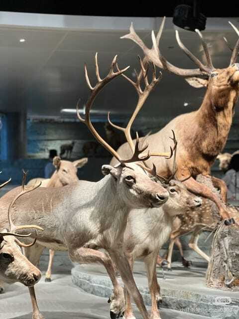 Shanghai: Natural Museum tickets with guide(optional) - The Exploration Center: where curiosity gets a structure
