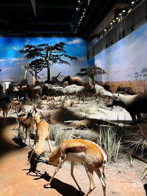 Shanghai: Natural Museum tickets with guide(optional) - Using an English guide: optional, small group, easy to ask