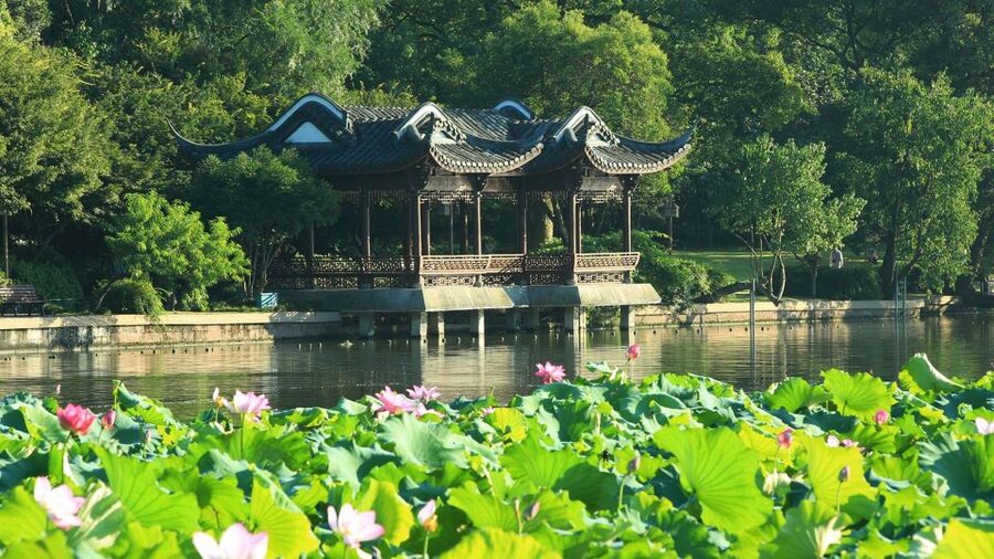 Shanghai: Private Guided Tour to Hangzhou by Bullet Train - Key Things I’d Put on Your Radar