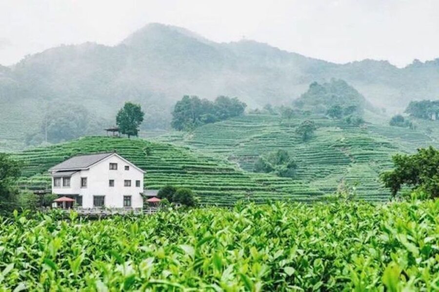 Shanghai: Private Guided Tour to Hangzhou by Bullet Train - Should You Book This Shanghai to Hangzhou Private Day Trip?