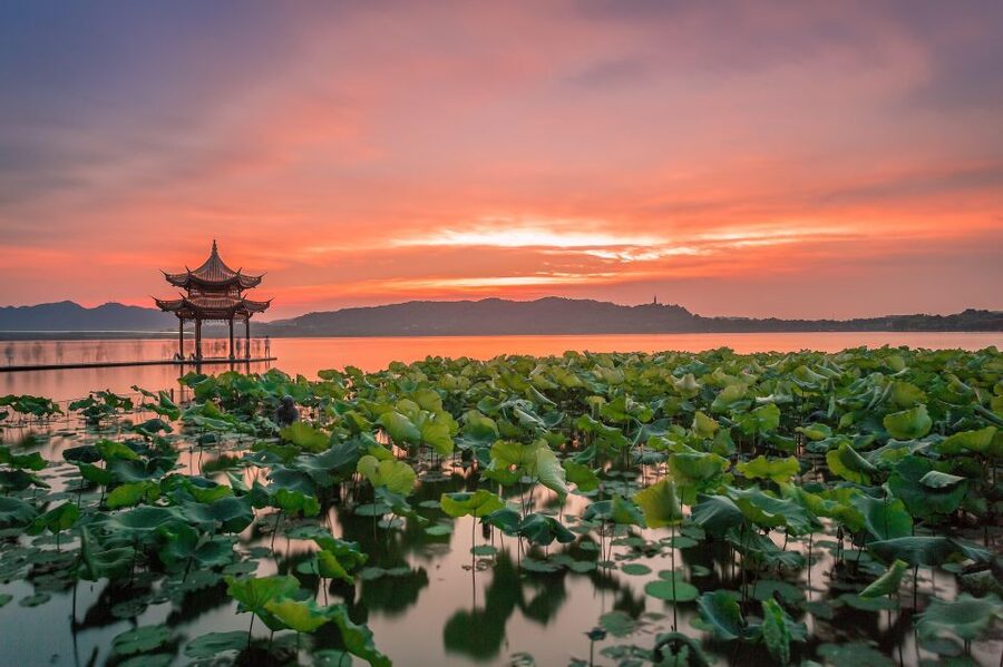 Shanghai: Private Guided Tour to Hangzhou by Bullet Train - From Your Shanghai Hotel to Hangzhou by Bullet Train