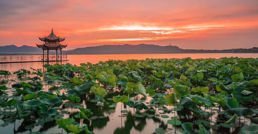 Shanghai: Private Guided Tour to Hangzhou by Bullet Train - Flexibility With Your Private Guide: Meijiawu, Hefang Street, and Pagodas