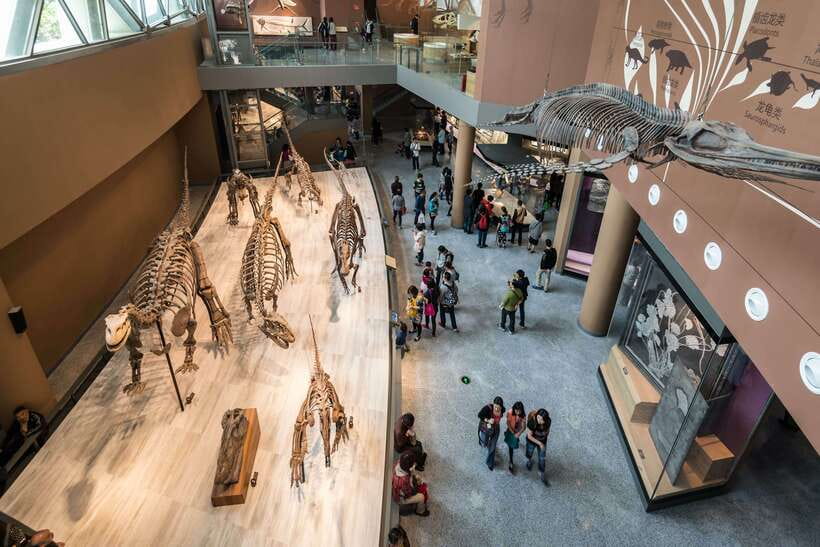 Shanghai: Private Tour of the Shanghai Museum - Key things I think you will love