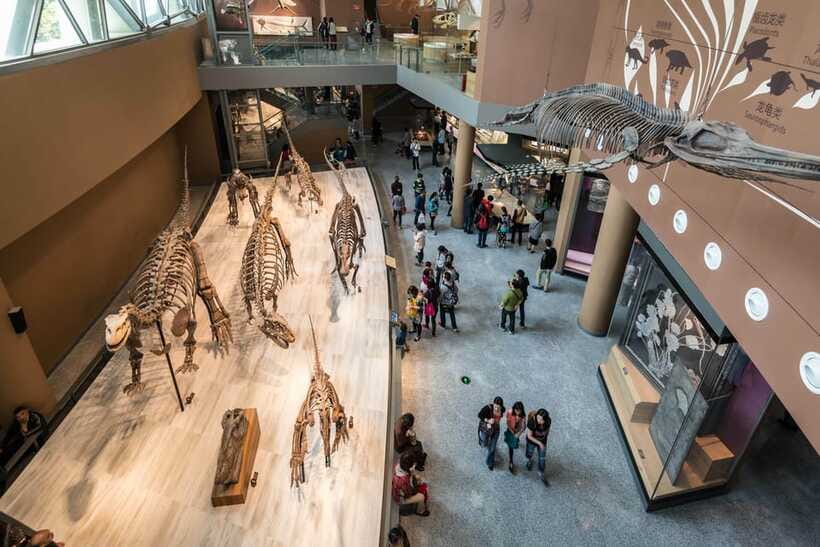 Shanghai: Private Tour of the Shanghai Museum - Before You Go: Simple Rules That Affect Your Day
