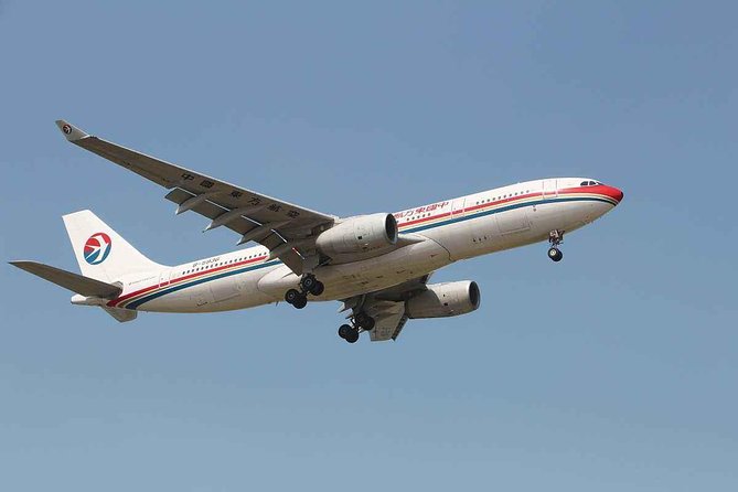 Shanghai Pudong Airport Private One-Way or Round-Way Transfer in English Service - Arrival into Shanghai: what the pickup and ride feel like