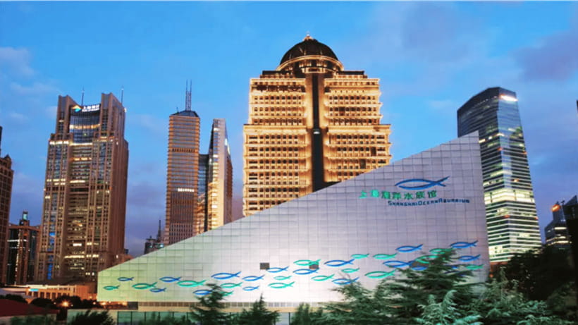Shanghai: The Marine Wonders at Shanghai Ocean Aquarium - Stepping into the 155-meter underwater tunnel