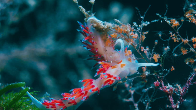Shanghai: The Marine Wonders at Shanghai Ocean Aquarium - How the one-day flow feels in practice
