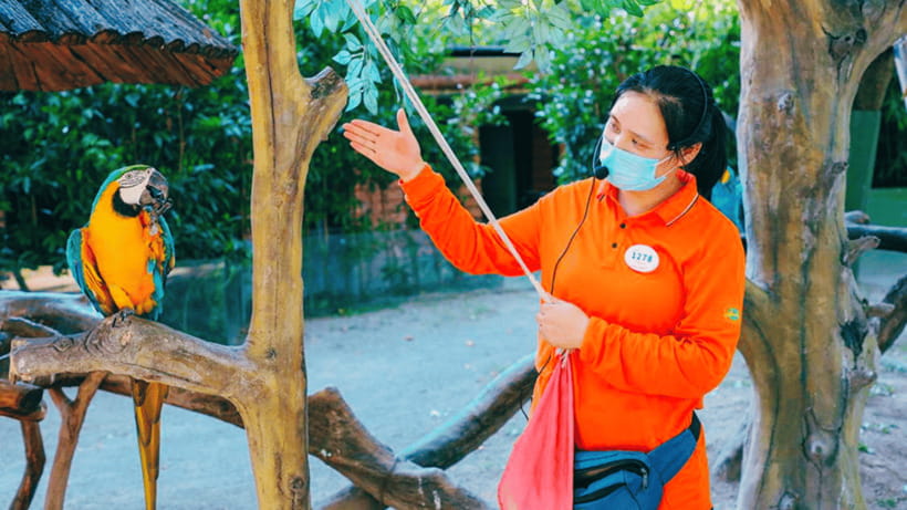 Shanghai: Wild Animal Park Ticket - Getting around inside the park without burning out