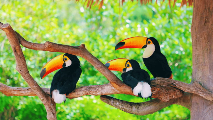 Shanghai: Wild Animal Park Ticket - Price and value: is $40 a good deal for a 1-day ticket?