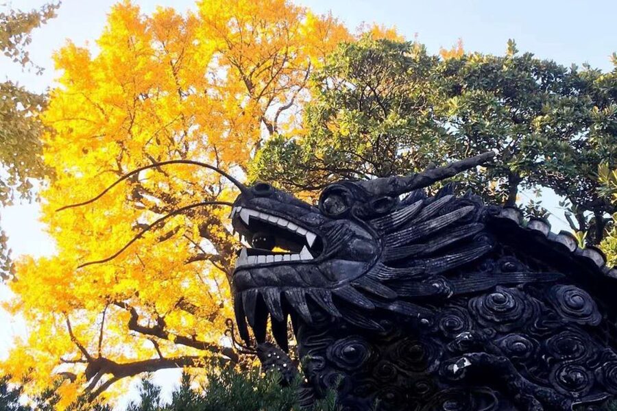 Shanghai: Yu Garden and City God Temple Walking Tour - What the guides do well, and why you should care