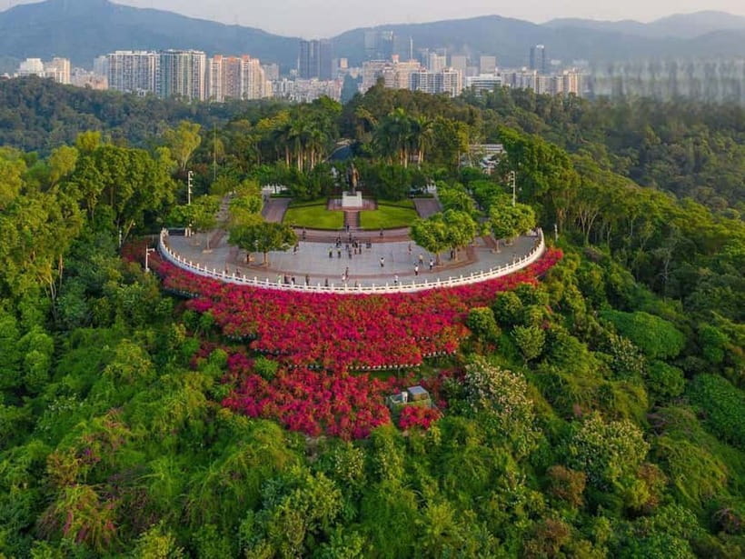 Shenzhen：8h City Walk & Future Experience Highlights Trip - Shun Hing Square and the skyline “wow” that still makes sense