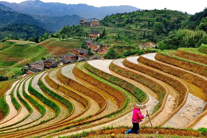 Short Li-River cruise and Longji Rice Terraces Private Day Tour - Longji Rice Terraces: Ping’an or Dazhai Time With Terrace Views