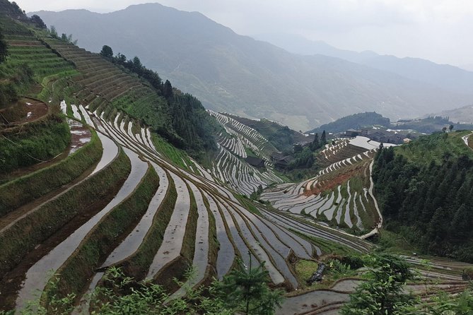 Short Li-River cruise and Longji Rice Terraces Private Day Tour - Price and Value: What $136.13 Really Buys