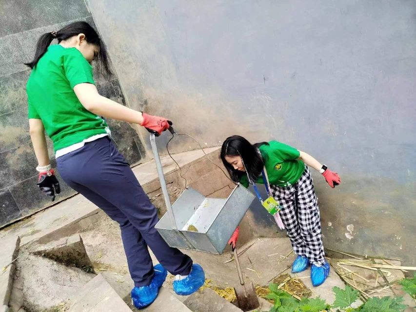Sichuan: Big Panda Volunteer Day tour - Giant Pandas, Red Pandas, and the Value of Natural-Habitat Viewing