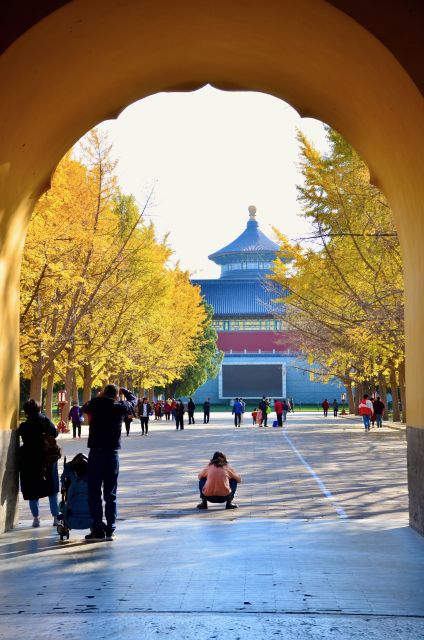Small-Group Beijing City Highlights Tour With Lunch - Traditional medicine museum stop, lunch break, then pearl gallery or silk museum