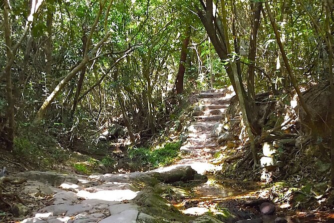 Small Group Hiking Day Tour to Lai Chi Wo - Lai Chi Wo Village and Nature Trail: a preserved village you can walk through
