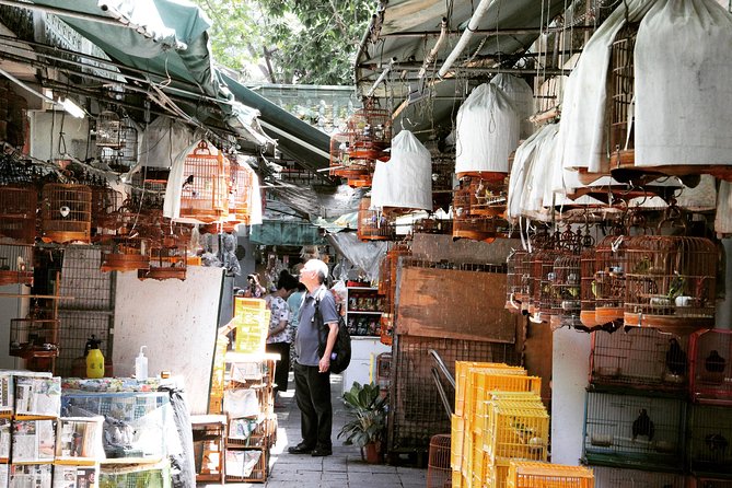Small-Group Tour: Hong Kong Local Markets Hopper [PROMOTION] - How this Prince Edward to Mong Kok walk really works