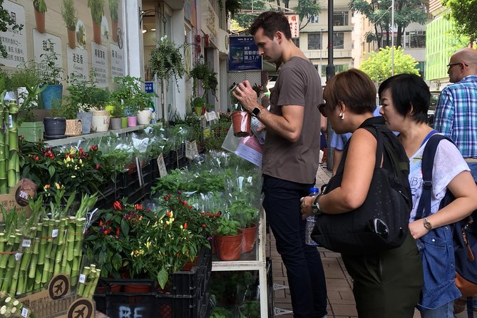 Small-Group Tour: Hong Kong Local Markets Hopper [PROMOTION] - Bird Garden Yuen Po Street: songbird stalls in a Chinese-style garden