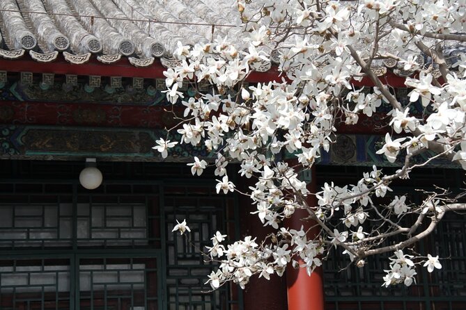 Summer Palace Ticket with optional Guided Tour - Summer Palace in 2 Hours: What You’ll Actually See