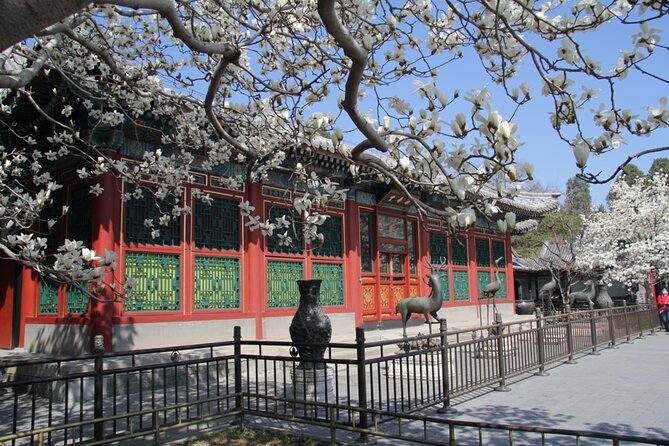 Summer Palace Ticket with optional Guided Tour - Ticket Only vs Guided Tour and Pickup: Choosing the Right Mode