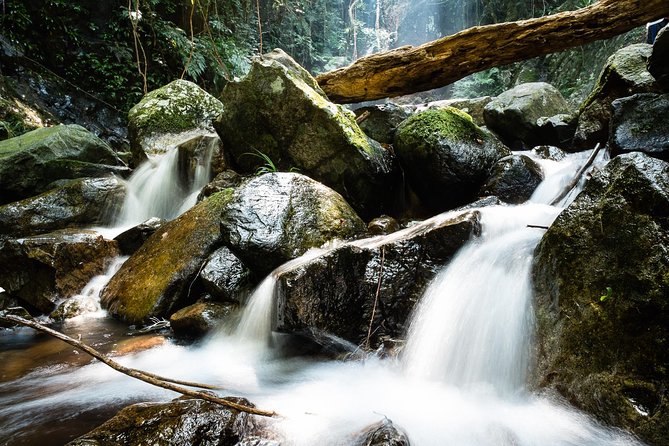 Tai Mo Shan Waterfall Adventure Hike - Why Tai Mo Shan feels like a reset from Hong Kong