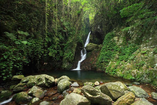 Tai Mo Shan Waterfall Adventure Hike - Main Falls at the end: Hong Kong’s tallest waterfall moment