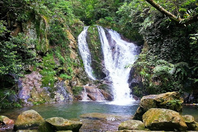 Tai Mo Shan Waterfall Adventure Hike - How steep is steep, and how the route adapts