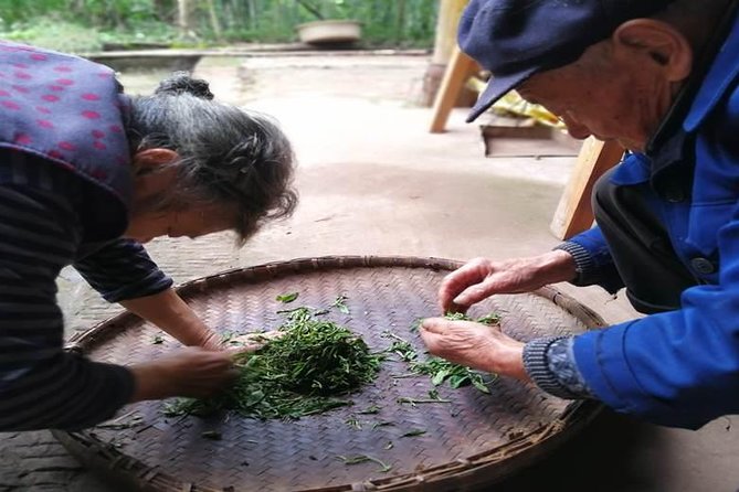 Tea Village in lost Town and Buddha 1 day tour - Tea making, hand crafts, and how to handle all the tastings