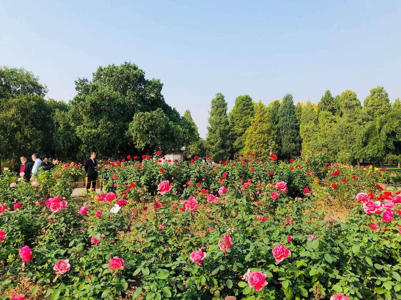 Temple of Heaven Ticket - Should you book this Temple of Heaven QR ticket service?