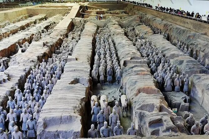 Terra-cotta Warriors Entrance Ticket with Optional Guided Service - Crowds, Timing, and the Best Way to Plan Your Entry