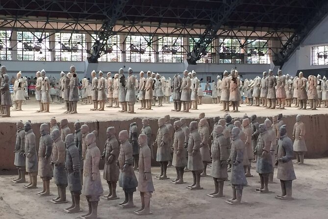 Terra-cotta Warriors Entrance Ticket with Optional Guided Service - Potential Hiccups and How to Reduce Your Risk