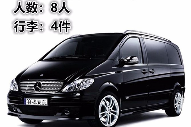 Terracotta Army, Big Wild Goose Pagoda&City Wall Full Day Tour - Who should book this Xi’an day tour, and who might not