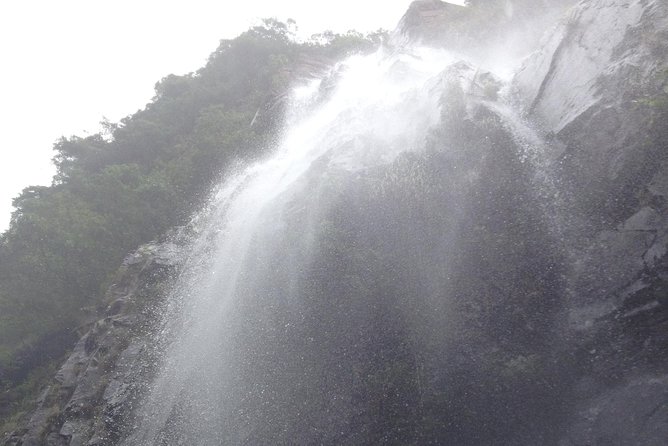 Three Dragon Gorge River Walking Tour - Meeting at Tung Chung MTR: A Layover-Friendly Start