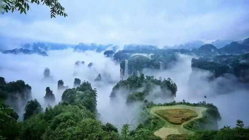Tianmen Mountain National Forest Park - The Downhill Exit: Express Cable Car and the Return Ride